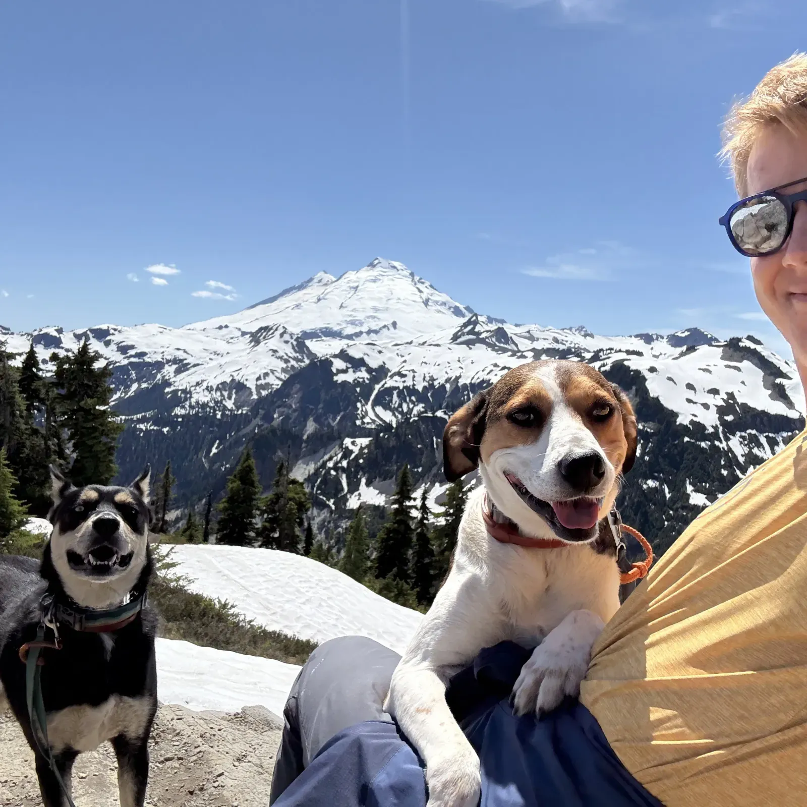 Remus, Leo and Myself at Huntoon Point overlooking Mt. Baker on Mel's Summit day! 🏔️